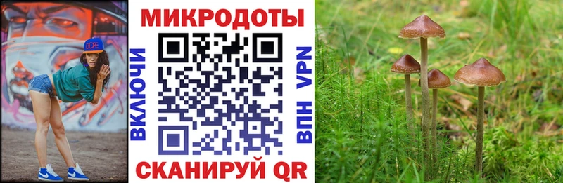 Галлюциногенные грибы GOLDEN TEACHER  Купить  Новомичуринск 