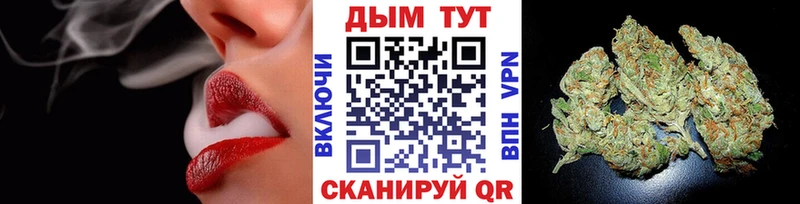 Бошки марихуана конопля  Купить  Новомичуринск 